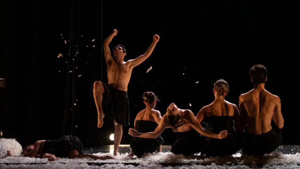 Escuela de danza Belarts, Estella-Lizarra